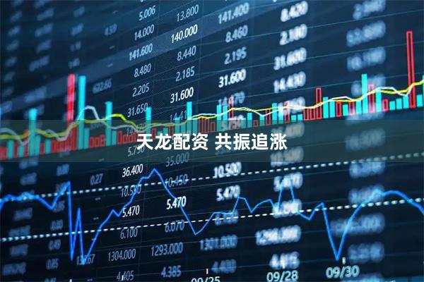 天龙配资 共振追涨