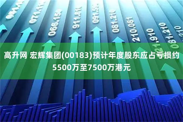 高升网 宏辉集团(00183)预计年度股东应占亏损约5500万至7500万港元