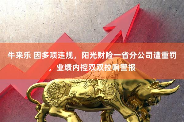牛来乐 因多项违规，阳光财险一省分公司遭重罚，业绩内控双双拉响警报